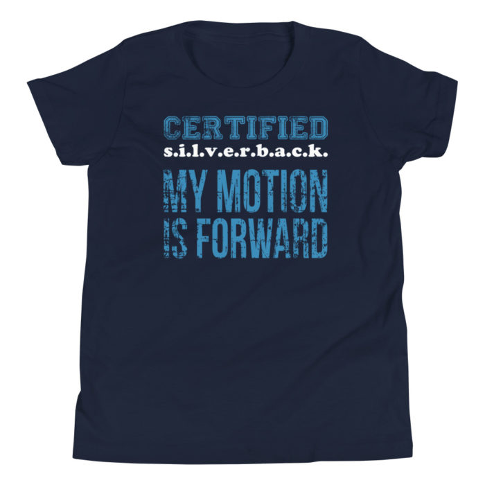MOTION SERIES 102 - Image 2