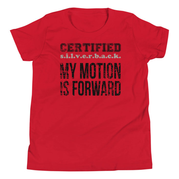 MOTION SERIES 101 - Image 2