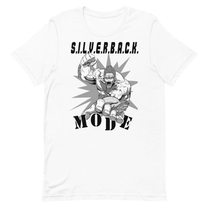 MODE SERIES 336