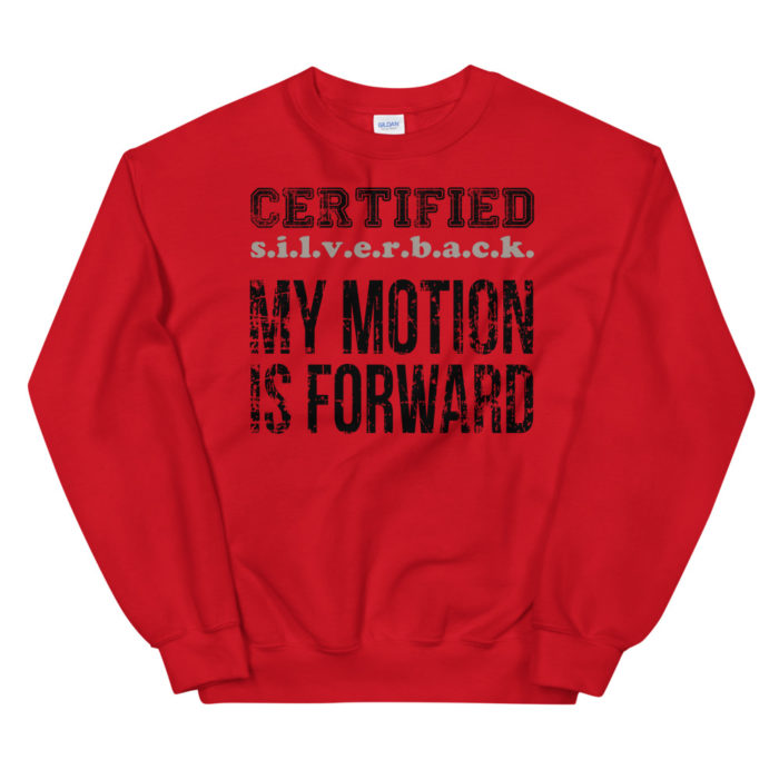 MOTION SERIES 101 - Image 3
