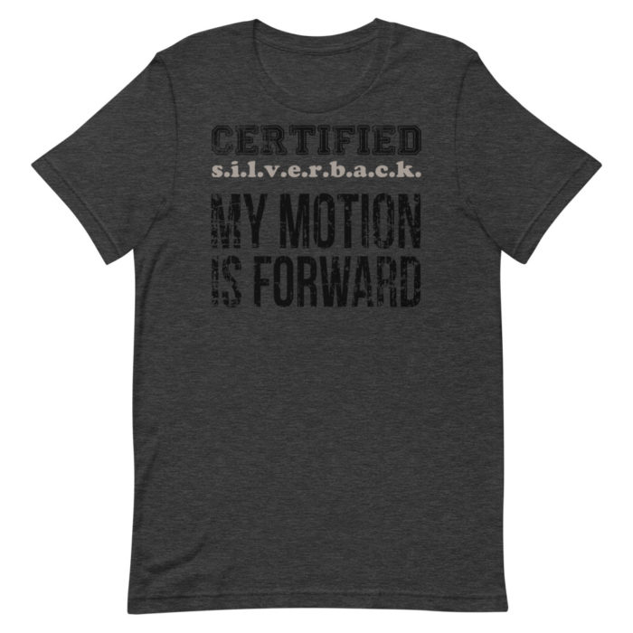 MOTION SERIES 101 - Image 2