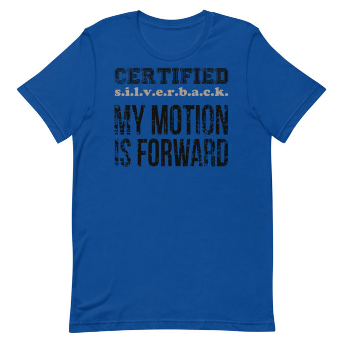 MOTION SERIES 101 - Image 4