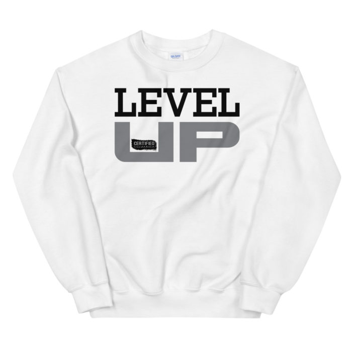 LEVEL UP SERIES 300