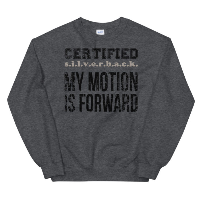 MOTION SERIES 101 - Image 4