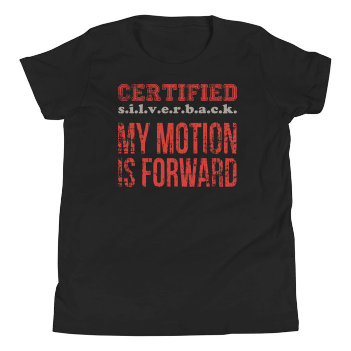 MOTION SERIES 104