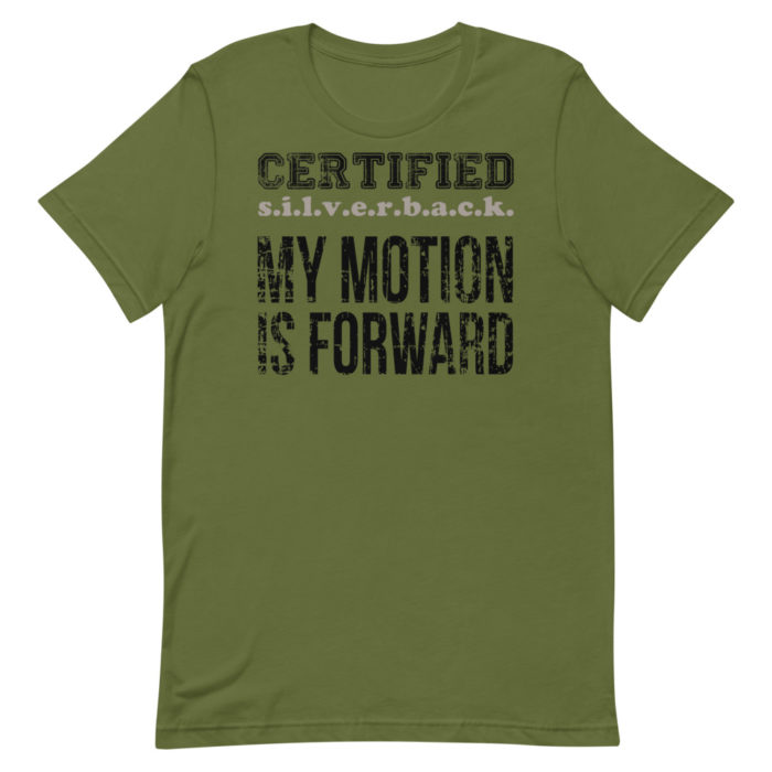 MOTION SERIES 101 - Image 6
