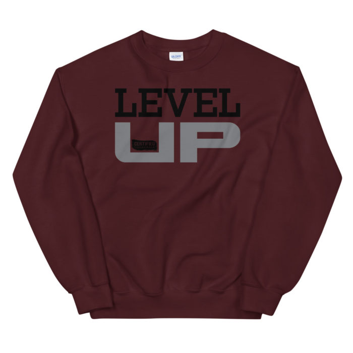 LEVEL UP SERIES 300 - Image 2