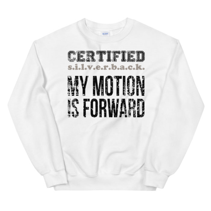 MOTION SERIES 101