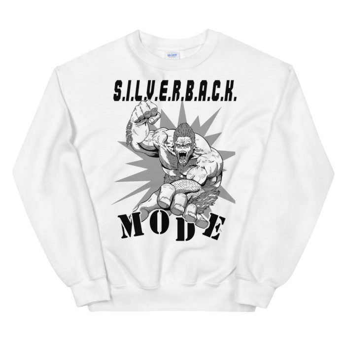MODE SERIES 336