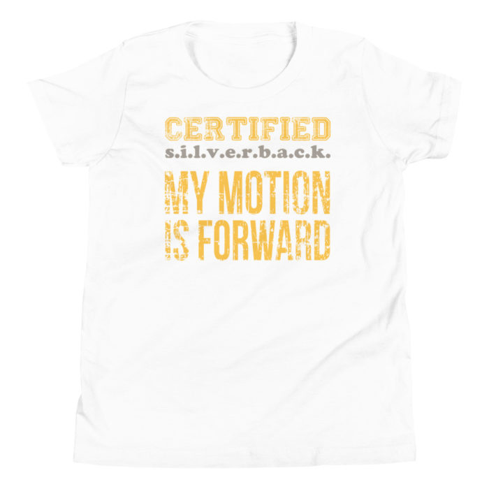MOTION SERIES 105