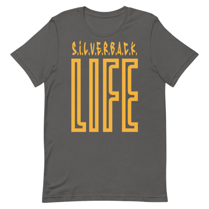 LIFE SERIES GOLD - Image 8