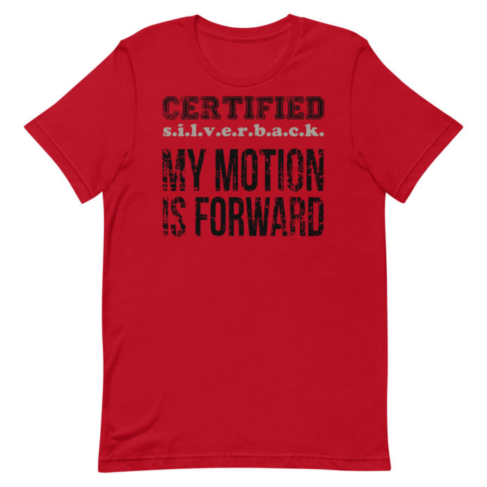 MOTION SERIES 101 - Image 3
