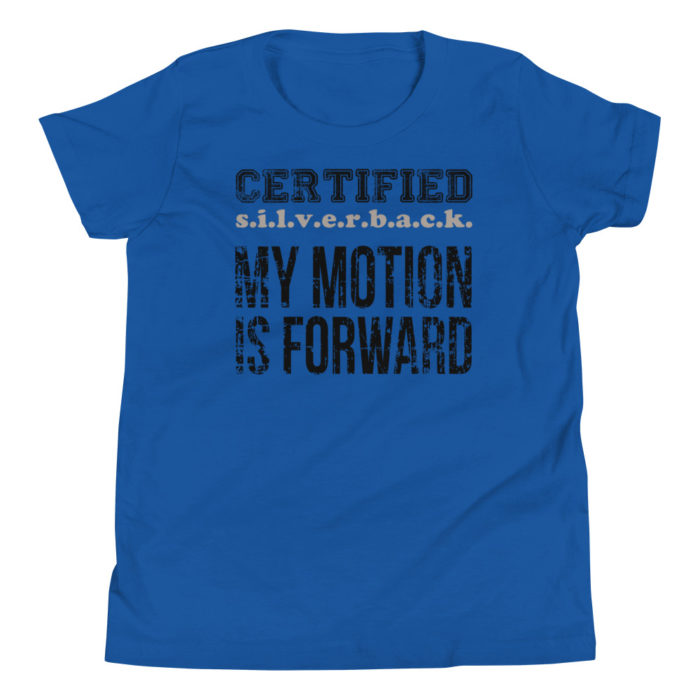 MOTION SERIES 101 - Image 4