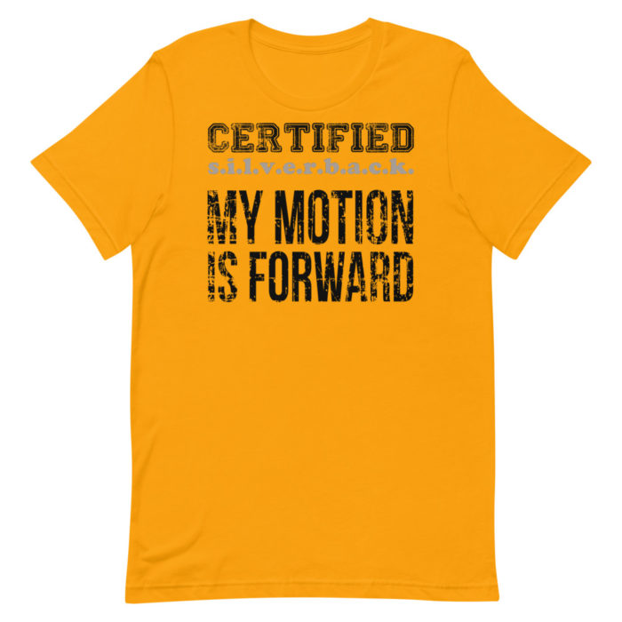 MOTION SERIES 101 - Image 10