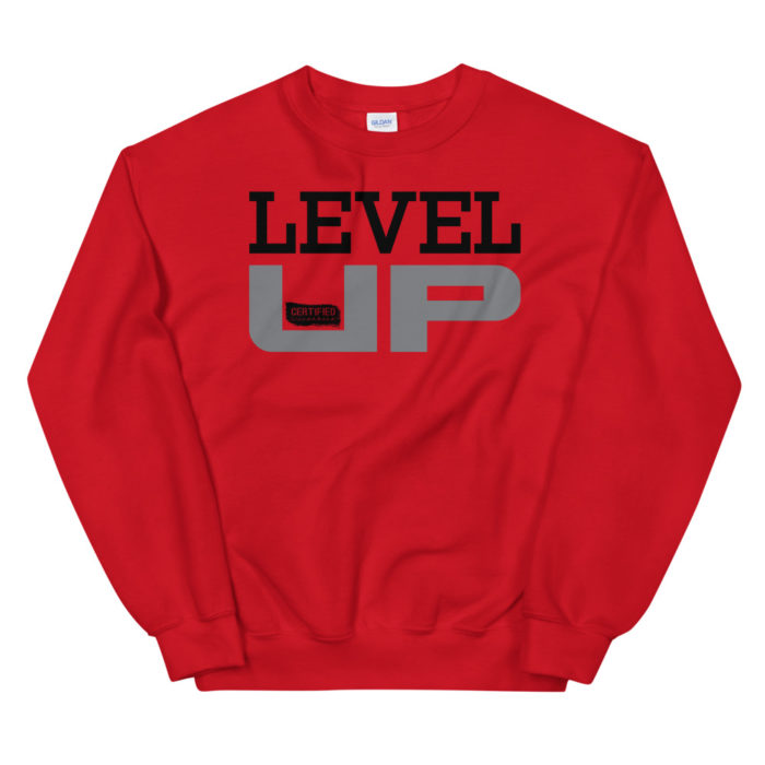 LEVEL UP SERIES 300 - Image 3