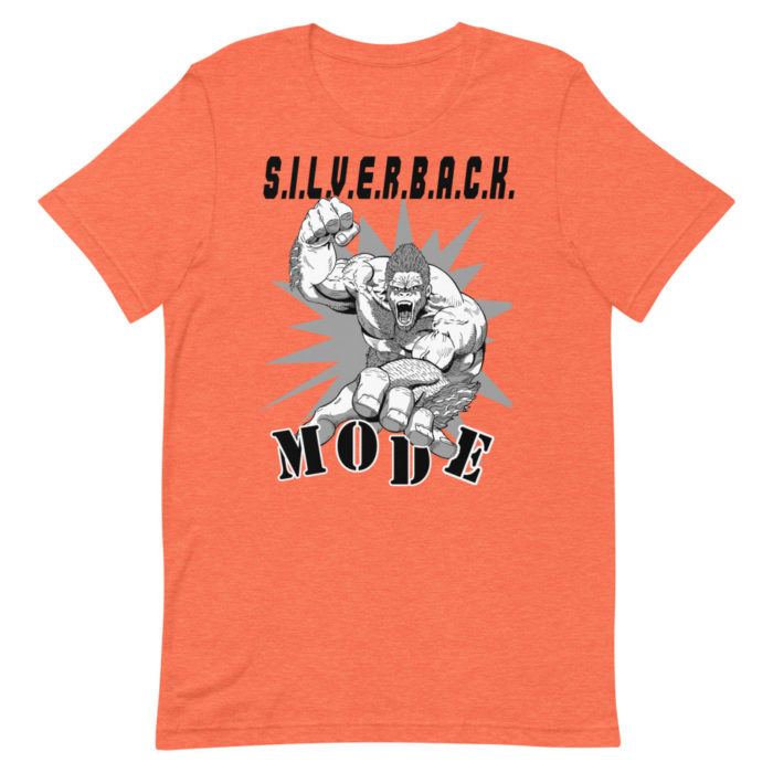 MODE SERIES 336 - Image 7